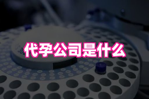 幸孕 1